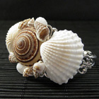 Seashell Jewelry and Accessories